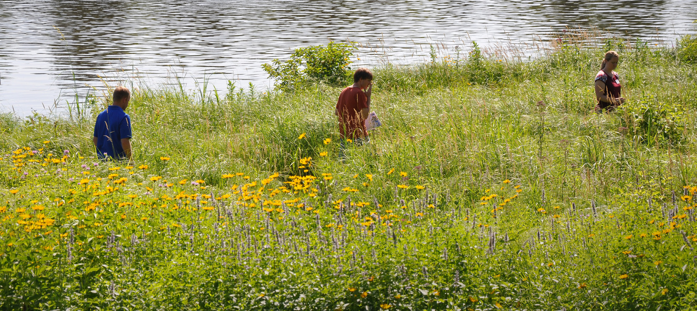 Conservation workers explore a streambank restoration.
